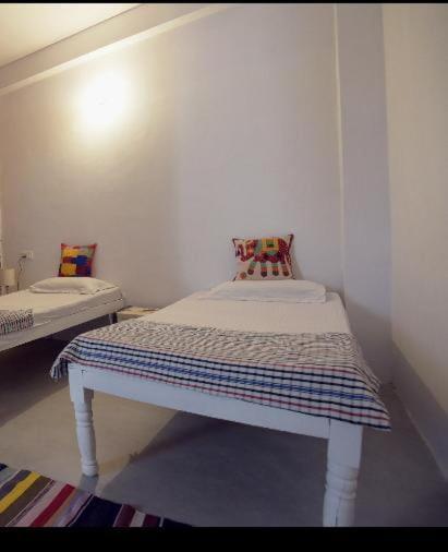 Eco Family Hostel جايبور المظهر الخارجي الصورة
