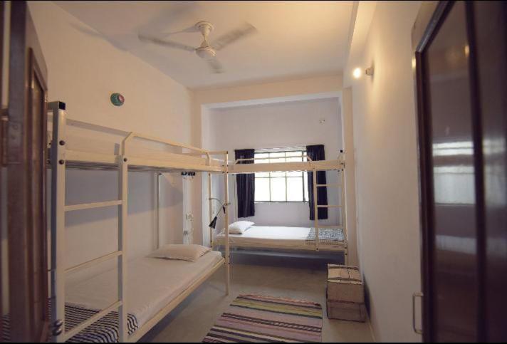 Eco Family Hostel جايبور المظهر الخارجي الصورة