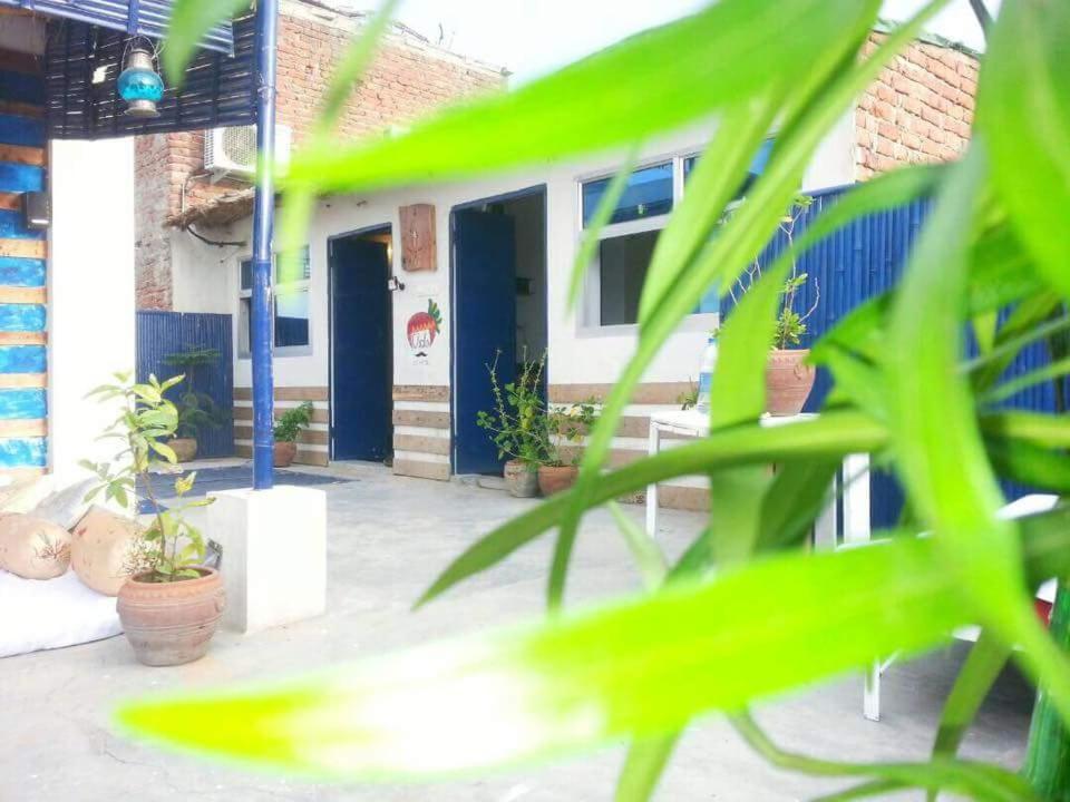 Eco Family Hostel جايبور المظهر الخارجي الصورة